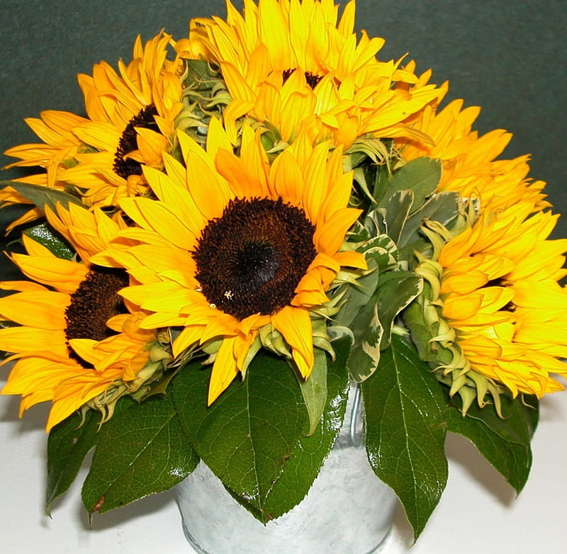 Cariño, arreglo floral, soleado, amarillo, dulce, florero de cristal,  girasoles, Fondo de pantalla HD | Peakpx
