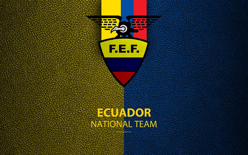 Ecuador national football team leather texture, emblem, logo, football, Ecuador, HD wallpaper