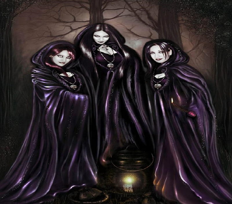 The Weird Sisters, three, fantasy, purple, witches, HD wallpaper