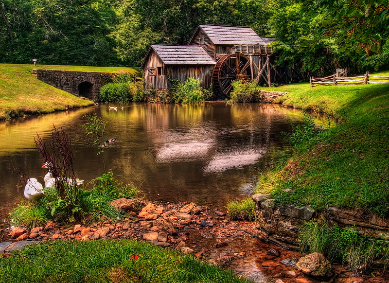 Watermill-R, architecture, pretty, house, grass, ducks, outdoors, geese, nice, watermill, stones, beauty, tunnel, reflection, rivers, lovely, birds, trees, water, cool, great, landscape, fence, scenic, mill, bonito, old, graphy, green, fields, river, wheel, scenery, animals, forest, amazing, lakes, view, colors, spring, lake, pond, plants, r, nature, reflected, HD wallpaper