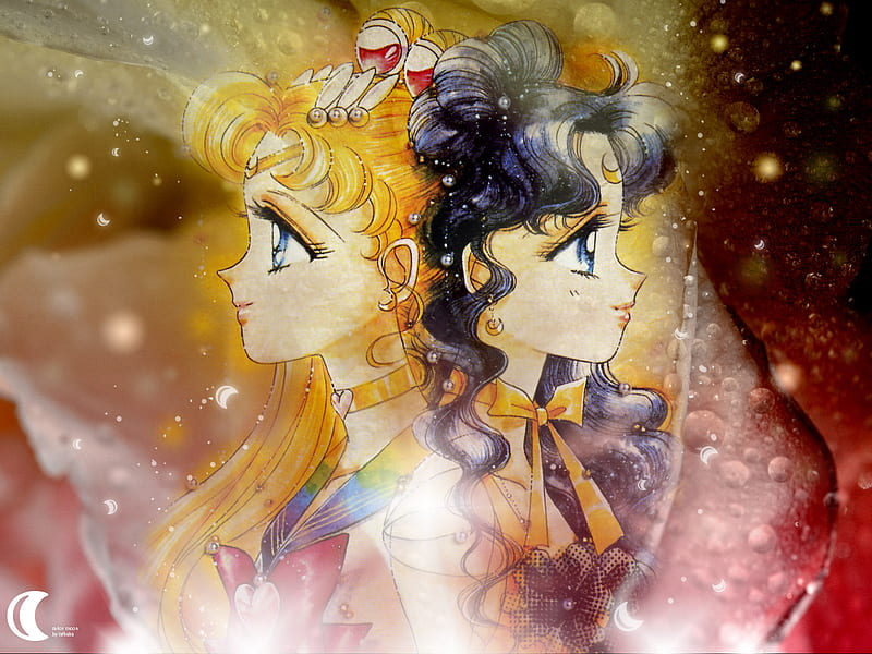 Sailor Moon Luna Ultra HD Desktop Background Wallpaper for 4K UHD TV   Tablet  Smartphone