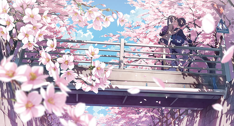 Kiss, sakura, manga, kantoku, spring, cherry blossom, anime, flower, pink, couple, HD wallpaper
