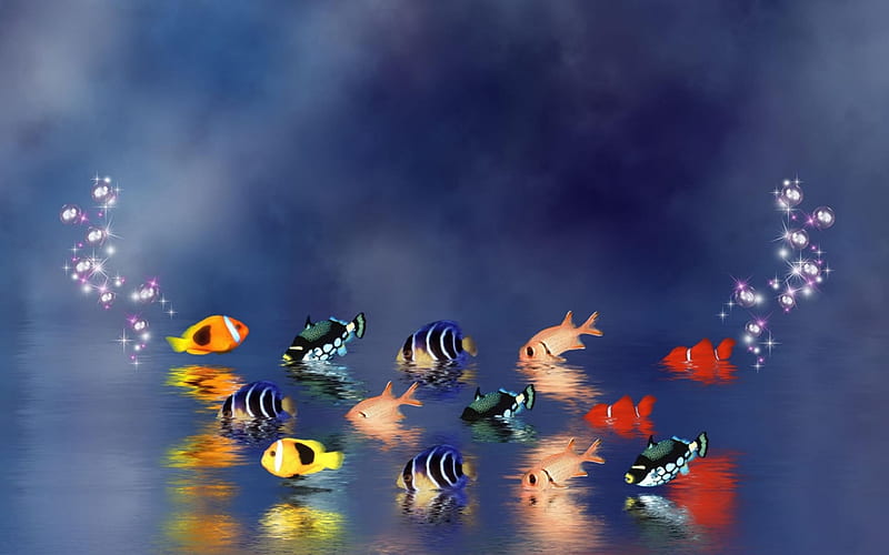 Reflecting Fish, red, orange, fish, black, abstract, water, air, bunch, bubbles, pink, reflecting, blue, airbubbles, HD wallpaper