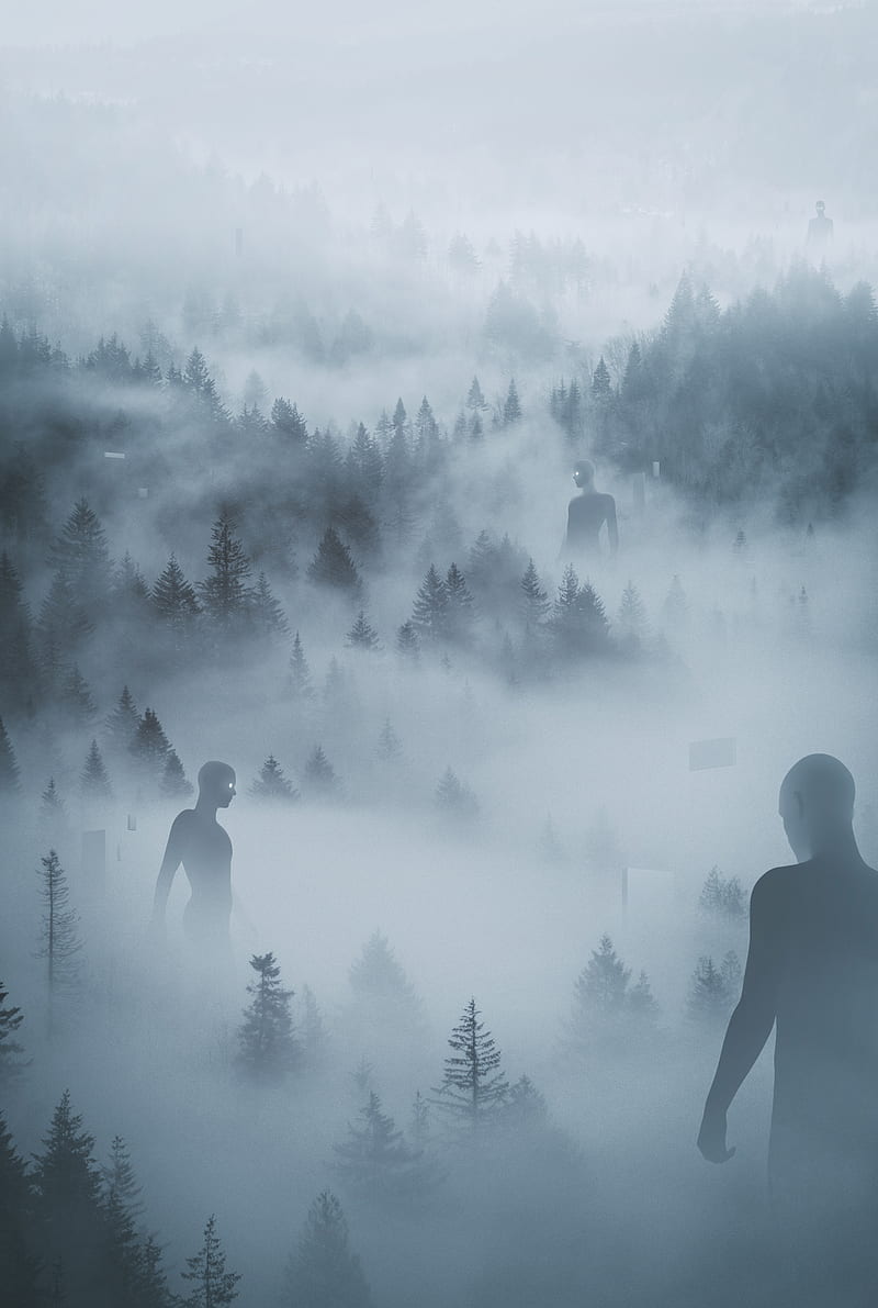 trees, creature, nature, monochrome, mist, forest, giant, HD phone wallpaper