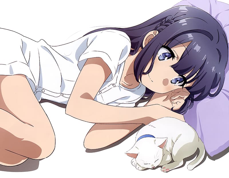 Anime, Cat, Rascal Does Not Dream Of Bunny Girl Senpai, Shoko Makinohara, HD wallpaper