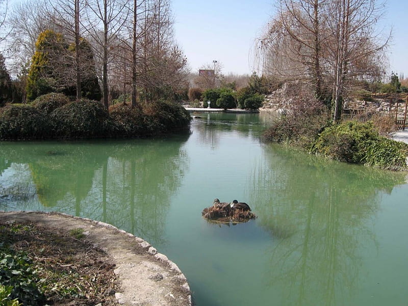 Esfahan, iran, park, HD wallpaper