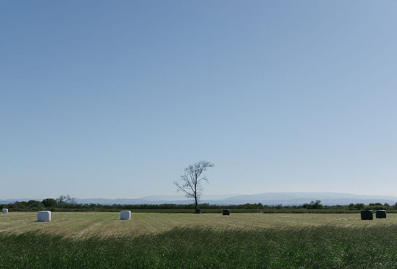 vast pasture under blue sky during daytime, HD wallpaper