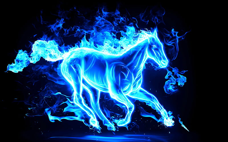 blue neon horse, creative art, blue smoke, blue flame, horses, neon art, neon horse silhouette, HD wallpaper