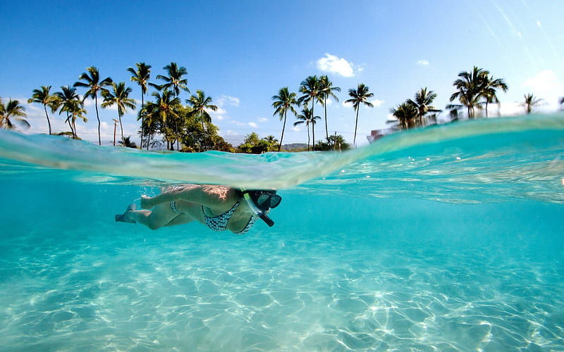 Seychelles, Diving, ocean, tropical islands, underwater world, HD wallpaper