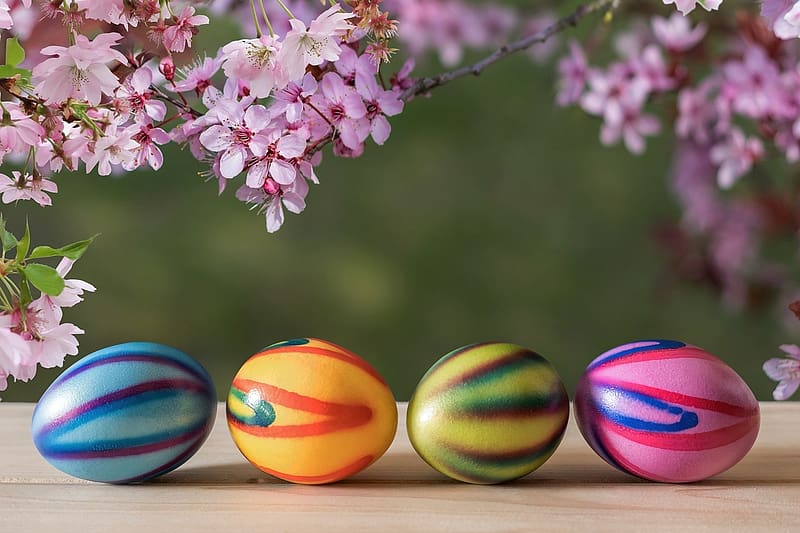 Colored eggs, fenyes, husveti tojas, festett, szinezett, tobbszinu, tavasz, cseresznyevirag, HD wallpaper