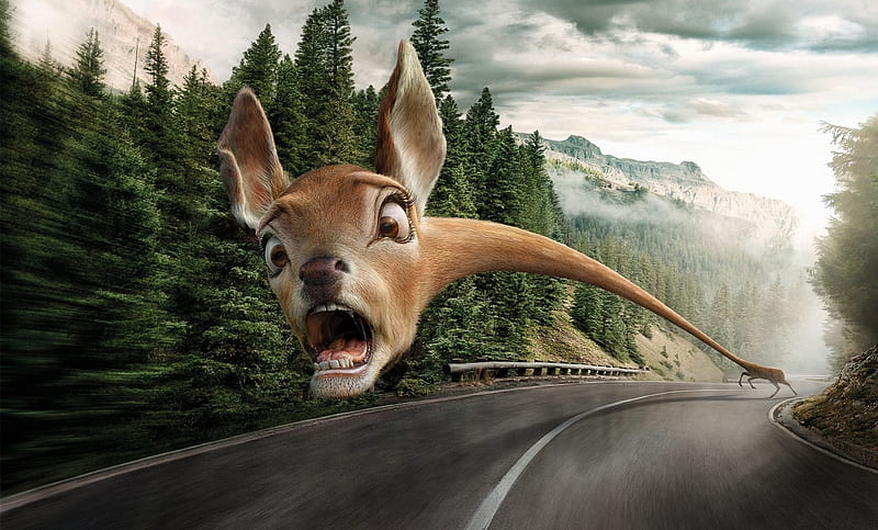 Danger ahead, fantasy, caprioara, face, funny, creative, road, animal, deer, HD wallpaper