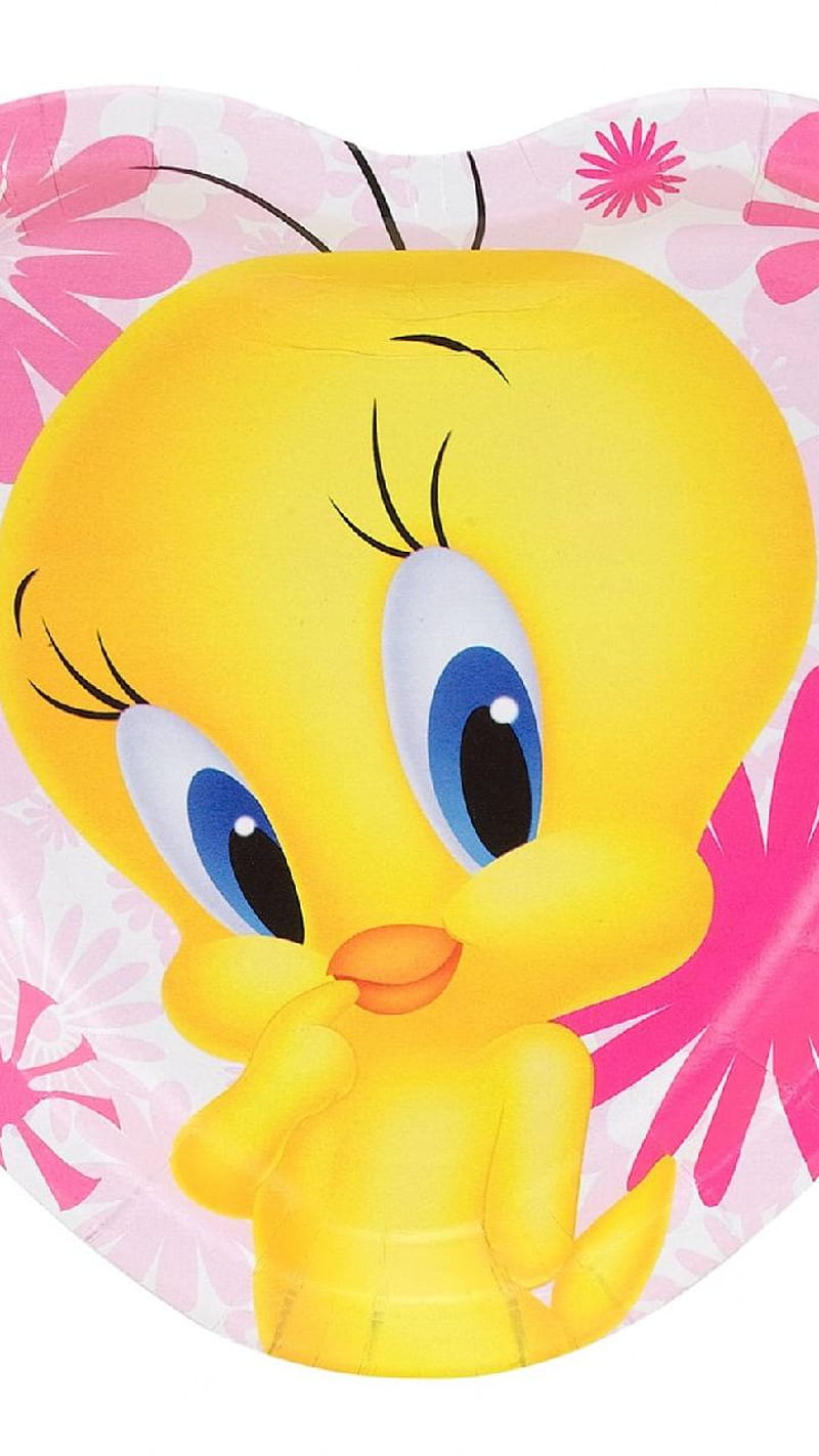 Tweety, birds, wall, HD phone wallpaper