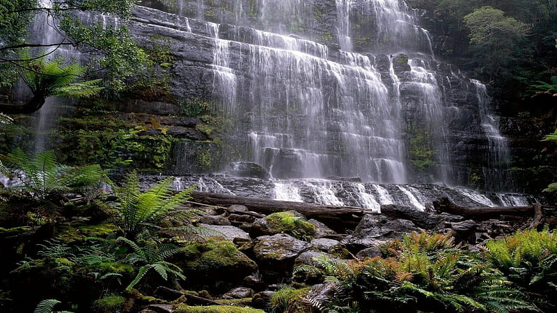 Russell Falls in Tasmania, Australia, Waterfalls, Cliffs, Rocks, Nature, HD wallpaper