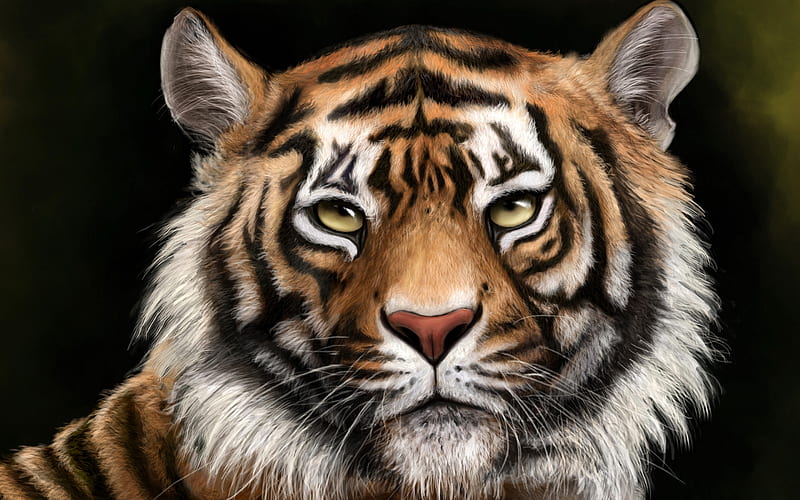 Tiger, dace, art, fantasy, brown, black, tigru, white, HD wallpaper