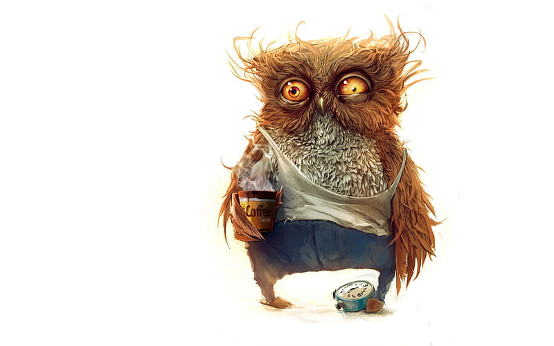 Funny- Good morning, birds, funny, humor, owl, owls, HD wallpaper | Peakpx
