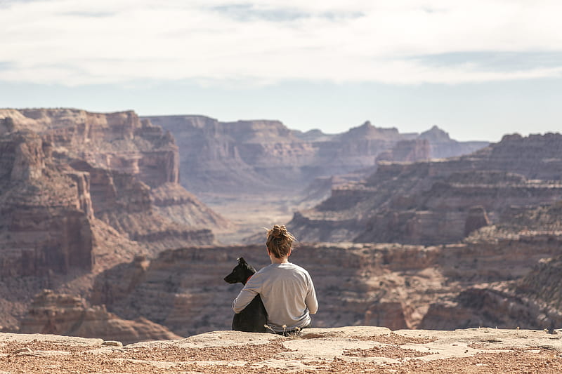person with dog sitting on Grand Canyon cliff, HD wallpaper