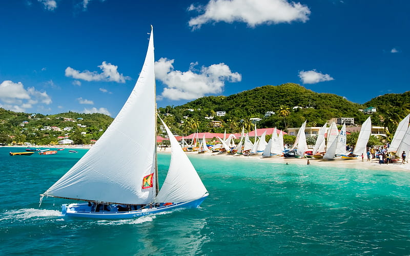 Caribbean, tropical islands, sailboats, flag of Grenada, beach, palm trees, Grenada, HD wallpaper