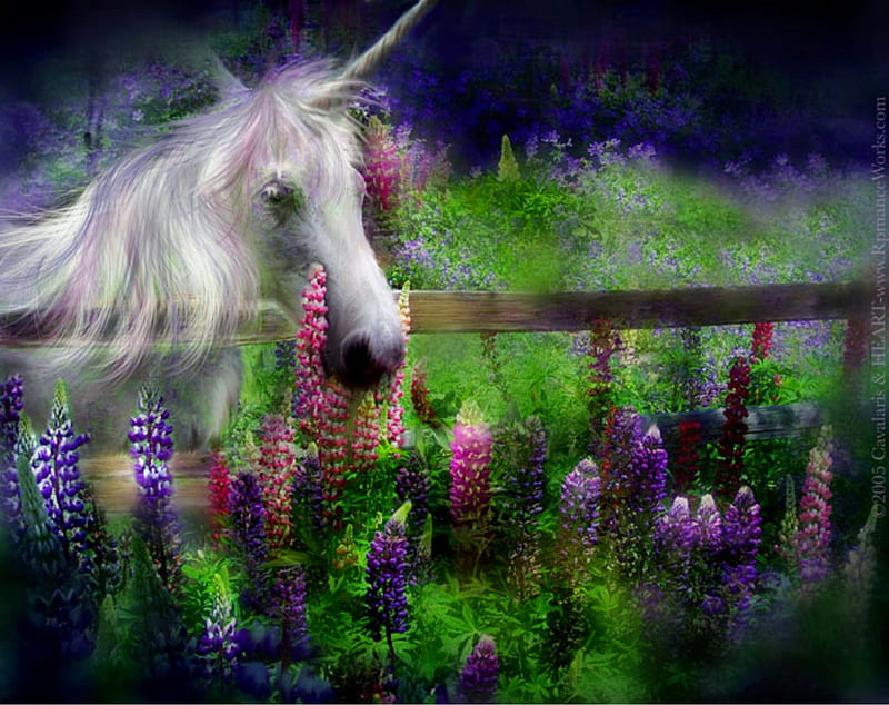UNCORNS DREAM, flowers, unicorns, dream, field, HD wallpaper