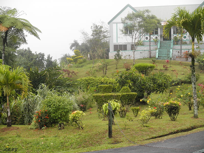 St. Lucia old house, house, graphy, green, flowers, Fields, HD wallpaper