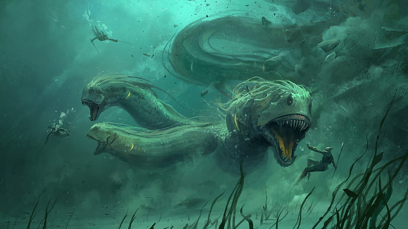 Underwater Creature, HD wallpaper