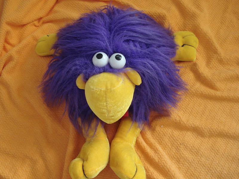 purple toupee, toy, big eyes, tuft, HD wallpaper