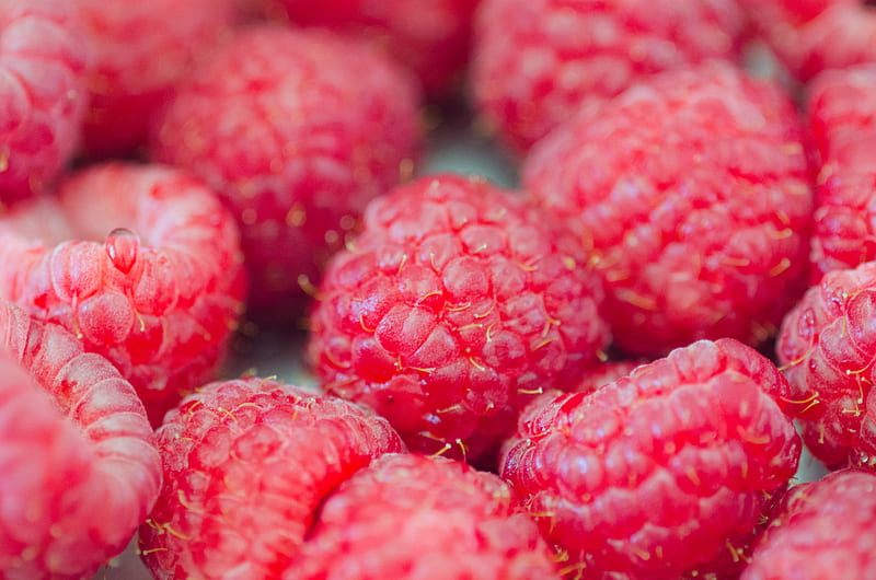 raspberries, berries, red, ripe, macro, HD wallpaper