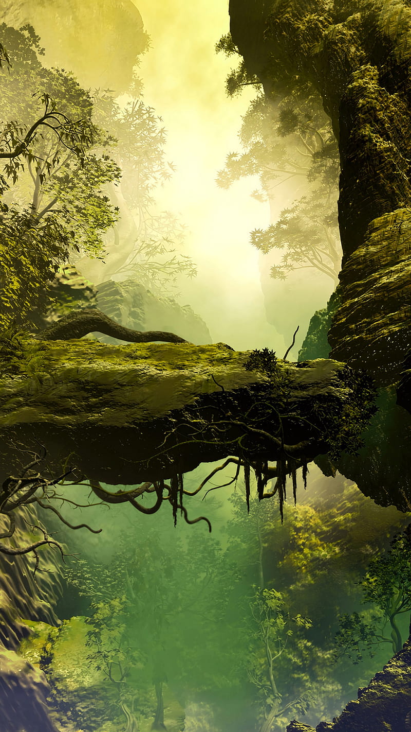 Deep Nature , roots, stones, fog, trees, rock, realism, painting, landscape, art, HD phone wallpaper