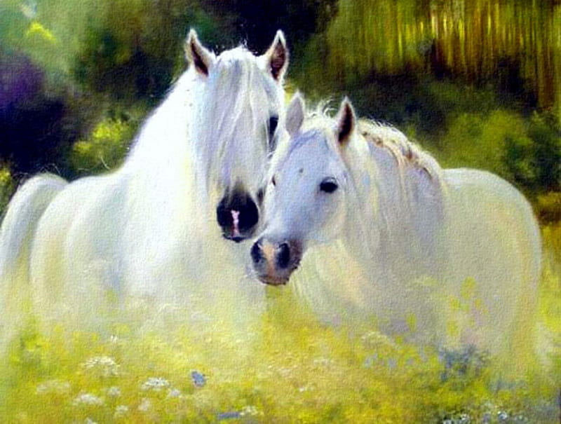 Snuggles, flowers, trees, white horses, horses, field, HD wallpaper