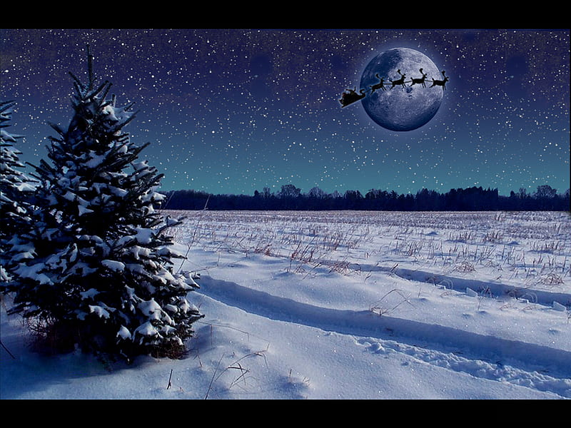 Christmas Night, sleigh, silent, holidays, christmas, graphity, x-mas, xmas, winter, cold, merry christmas, feast, night, HD wallpaper