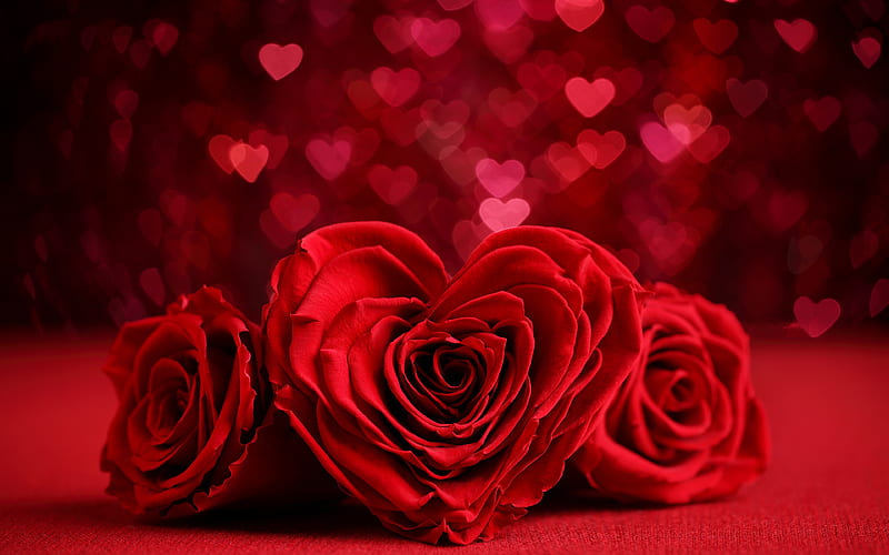 Valentines Day, roses, hearts bokeh, flowers heart, HD wallpaper