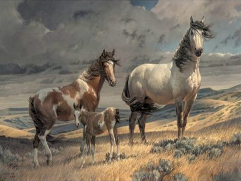 dancing whit horses, animals, horses, HD wallpaper