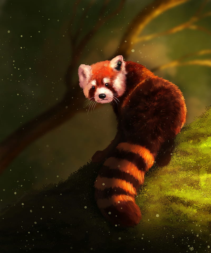 red panda, brown, fluffy, animal, art, HD phone wallpaper