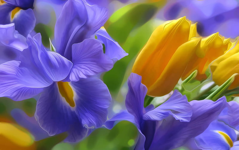Flowers, art, painting, flower, summer, yellow, blue, iris, HD wallpaper
