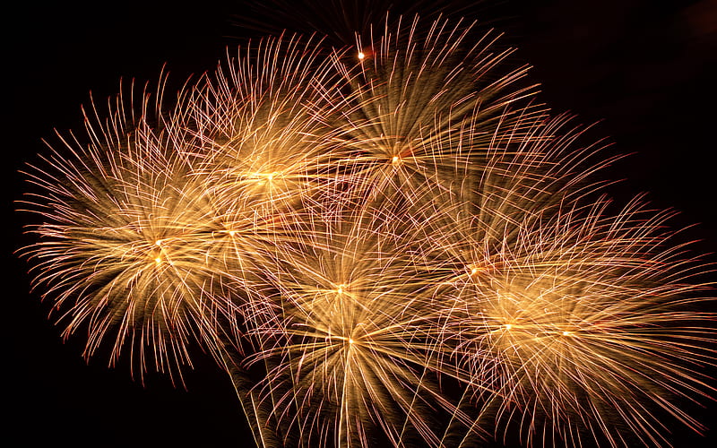 fireworks, night sky, fireworks on a black background, fireworks lights, HD wallpaper