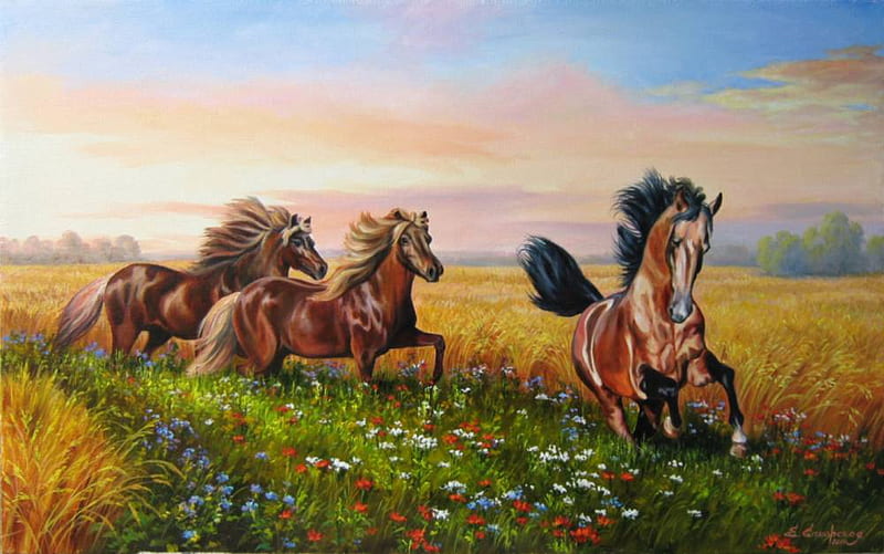 Elena Samarskaya . : In the field of expanse. 2011 year., elena samarskaya, art, painting, sunset, horse, run, animal, HD wallpaper