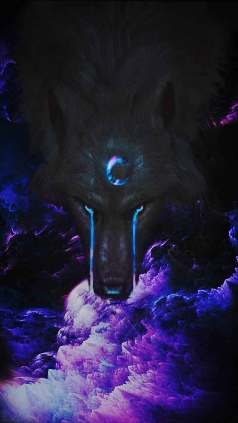 Tears of the galaxy , wolf, HD phone wallpaper