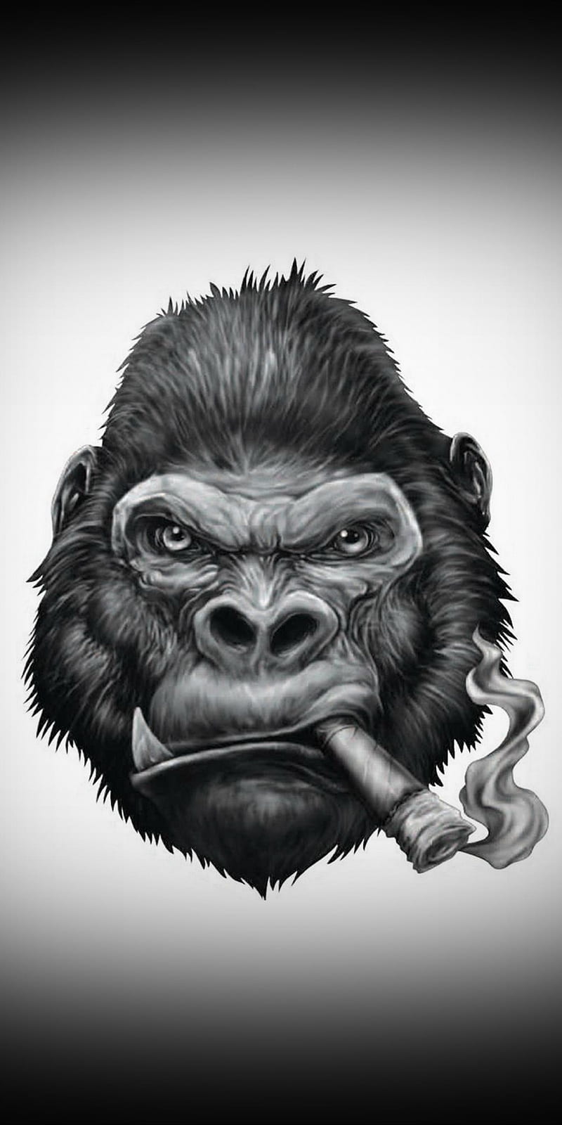 Monkey, cig monkey, HD phone wallpaper