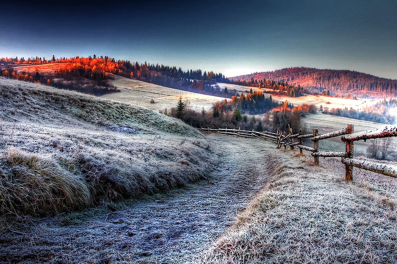 Behind Jack Frost, frosty, offroad, bonito, morning, field, HD wallpaper
