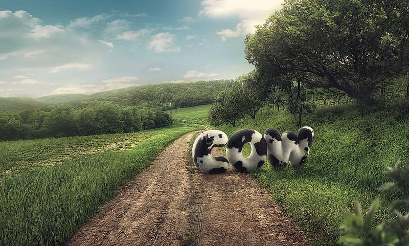 :), green, countrside, funny, vaca, road, word, cow, advertise, add, commercial, HD wallpaper