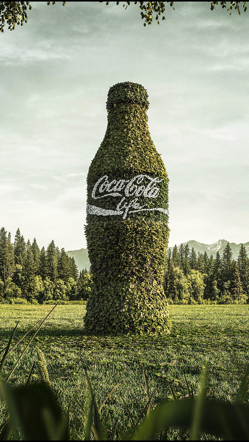 Coca cola, bottle, brands, green, leaves, nature, trees, HD phone wallpaper