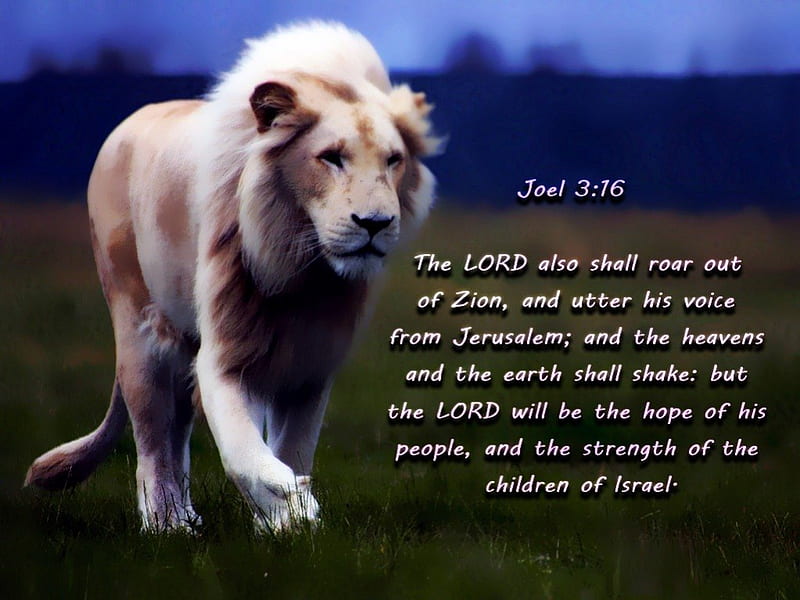 Roar out of, bible verses, lion, jesus, scriptures, bible, cats, god,  lions, HD wallpaper | Peakpx
