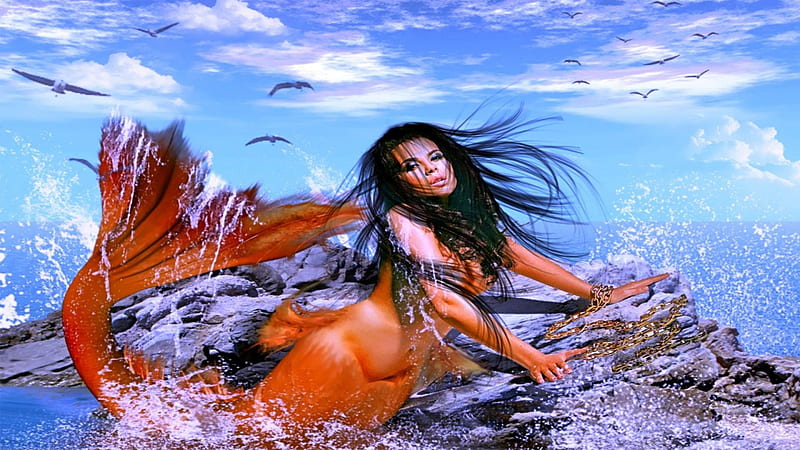 mermaid, human, sea birds, rock, fish, sea, HD wallpaper