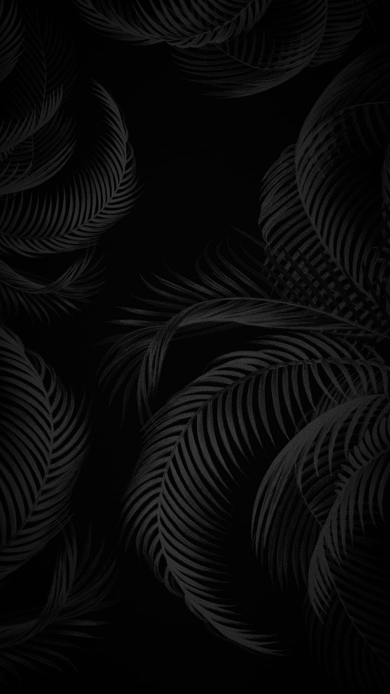Palm leaves, background, black, dark, iCreate™, minimalistic, HD phone wallpaper