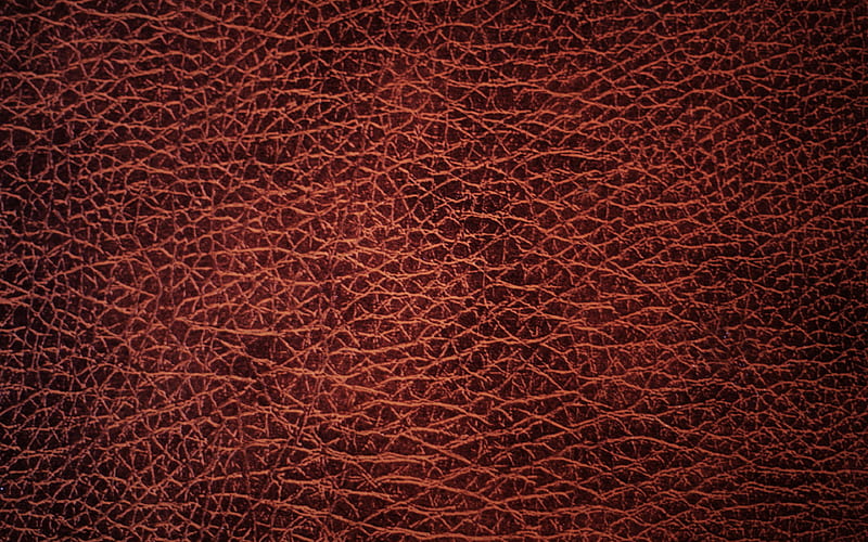 maroon leather texture leather textures, maroon backgrounds, leather backgrounds, macro, leather, maroon leather background, HD wallpaper
