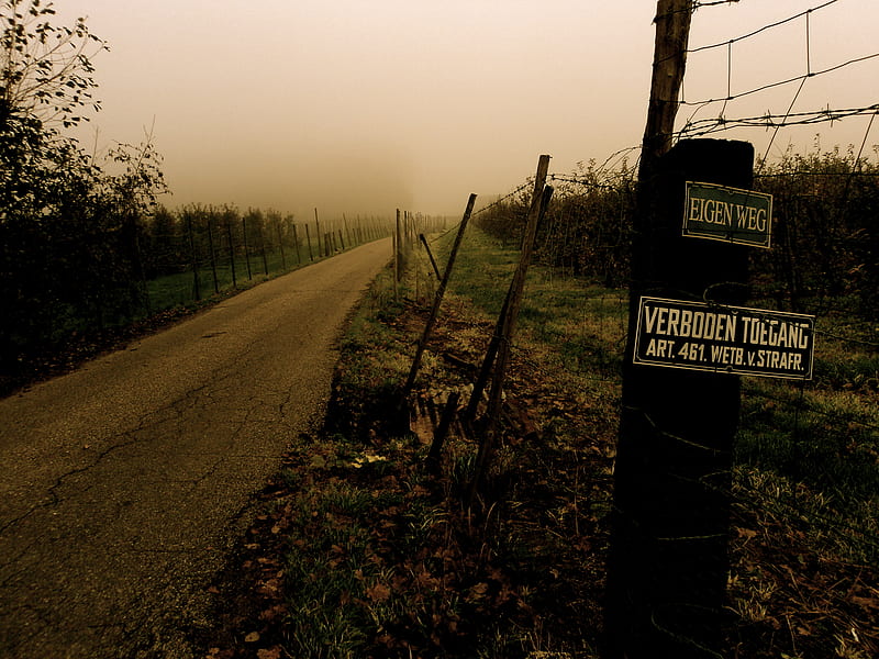 Access forbidden, countryside, fence, autumn, leaves, road, fog, HD wallpaper
