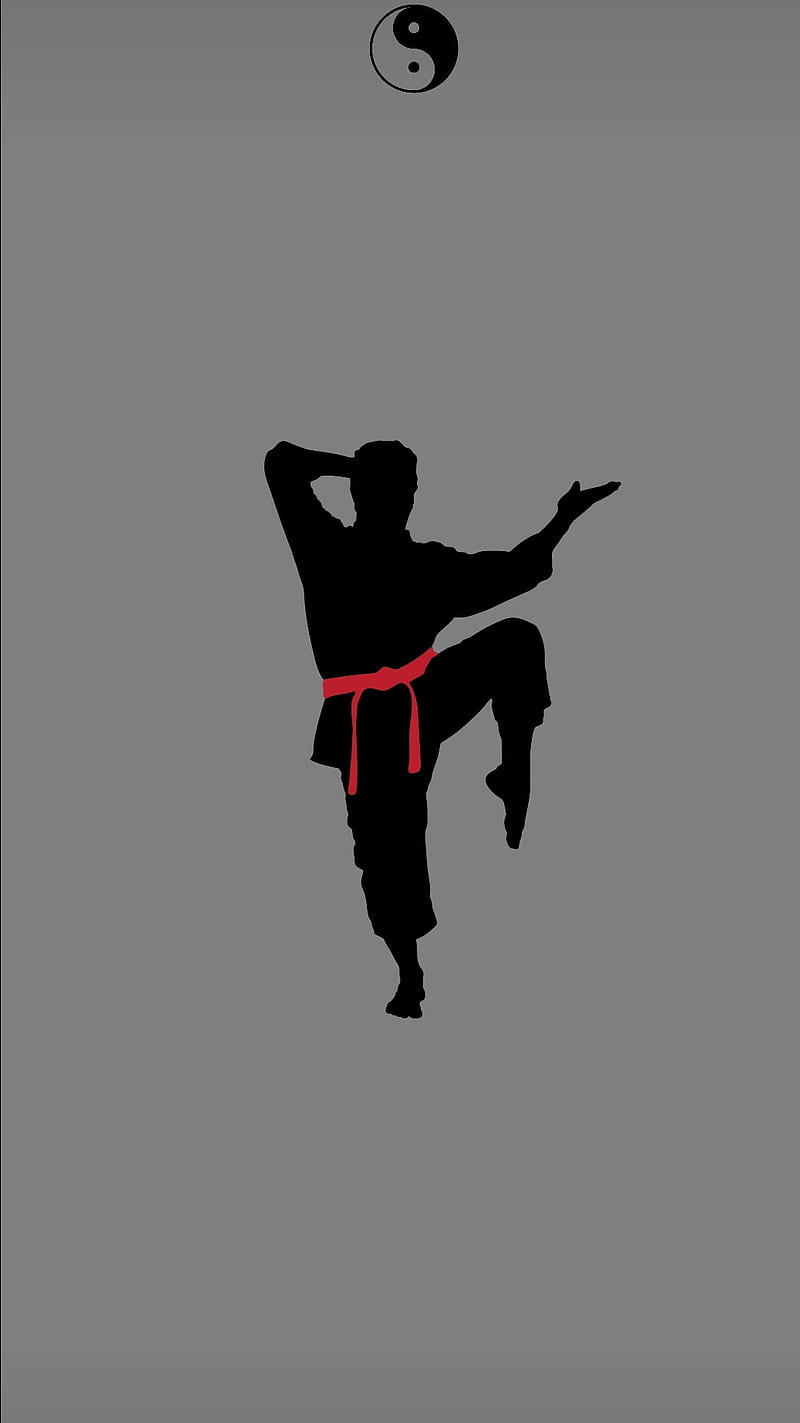 Martial Arts , 10 lite, gris, karate, note, samsung, yang, yin, HD phone wallpaper