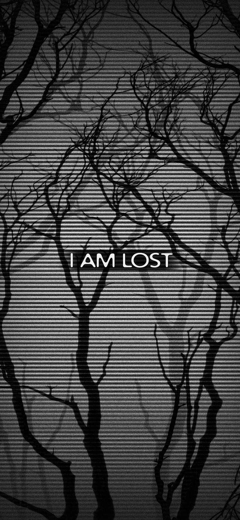 lost 1080P 2k 4k HD wallpapers backgrounds free download  Rare Gallery
