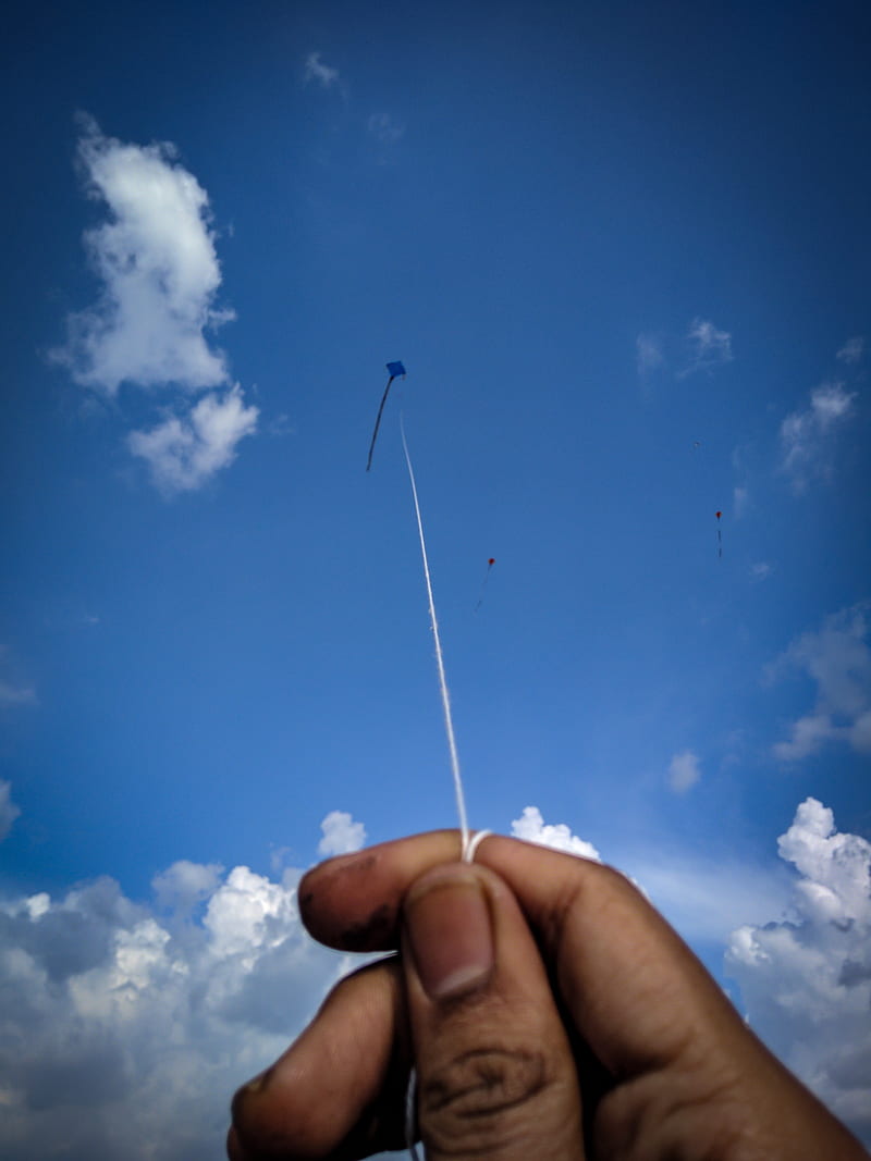 Kite, blue, kite flying, sky, HD phone wallpaper | Peakpx