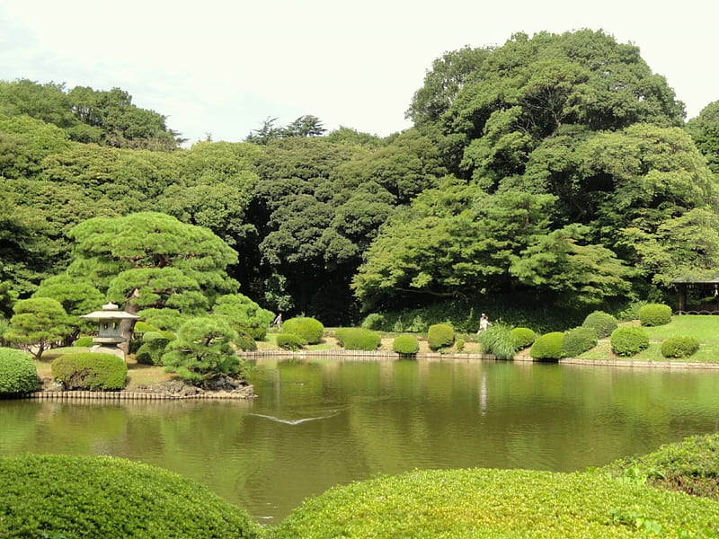 Japanese Garden, shinjuku, japanese, park, lake, japan, tokyo, garden, nature, scenery, HD wallpaper