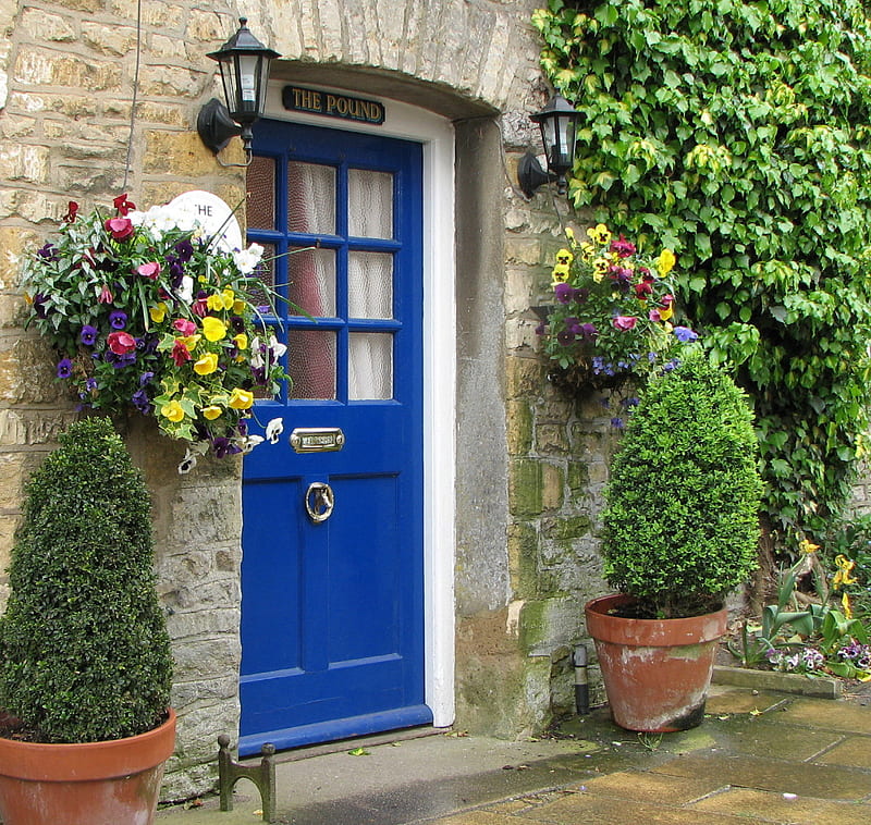 blue door and pansies, garden, pansies, blue, door, HD wallpaper